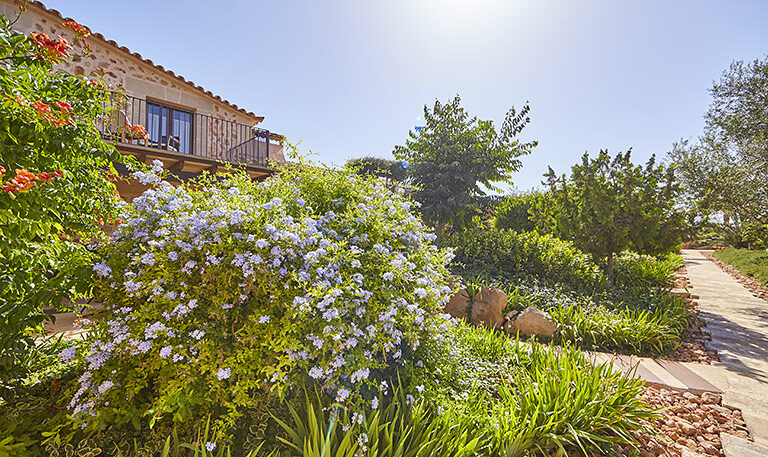 The sand-stone facade of the finca behind a garden of cannas and a young palm under a clear blue sky