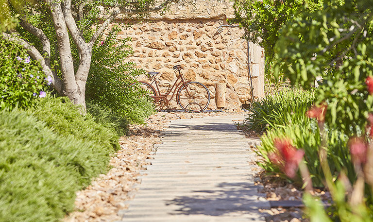 A timber walkway through the garden to a red bicycle leaning against a sunlit dry-stone wall
