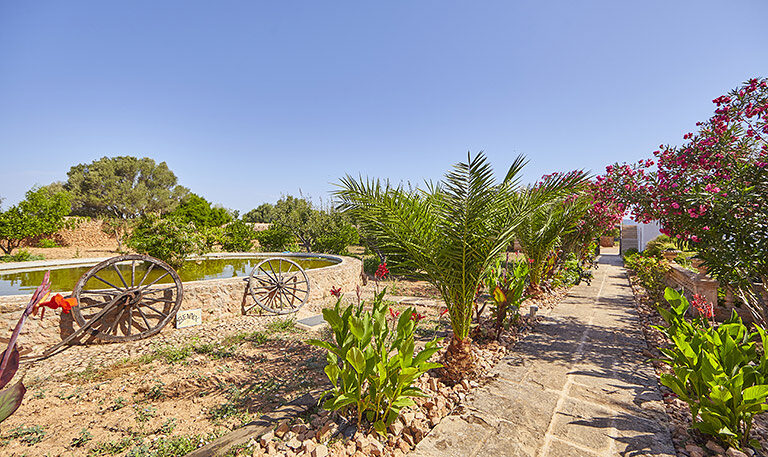 An old stone irrigation basin with two cartwheels set into its edge, a path of cannas and palms running alongside